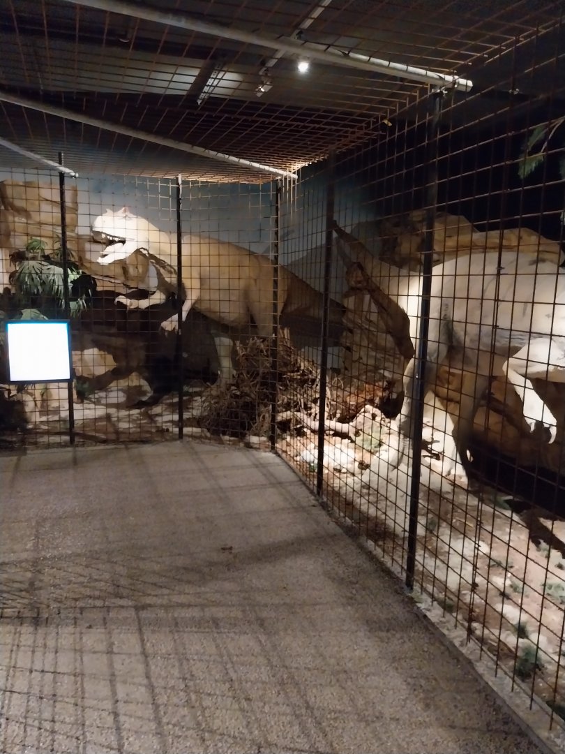 Aquazoo Schmiding - Life in the Paleozoic