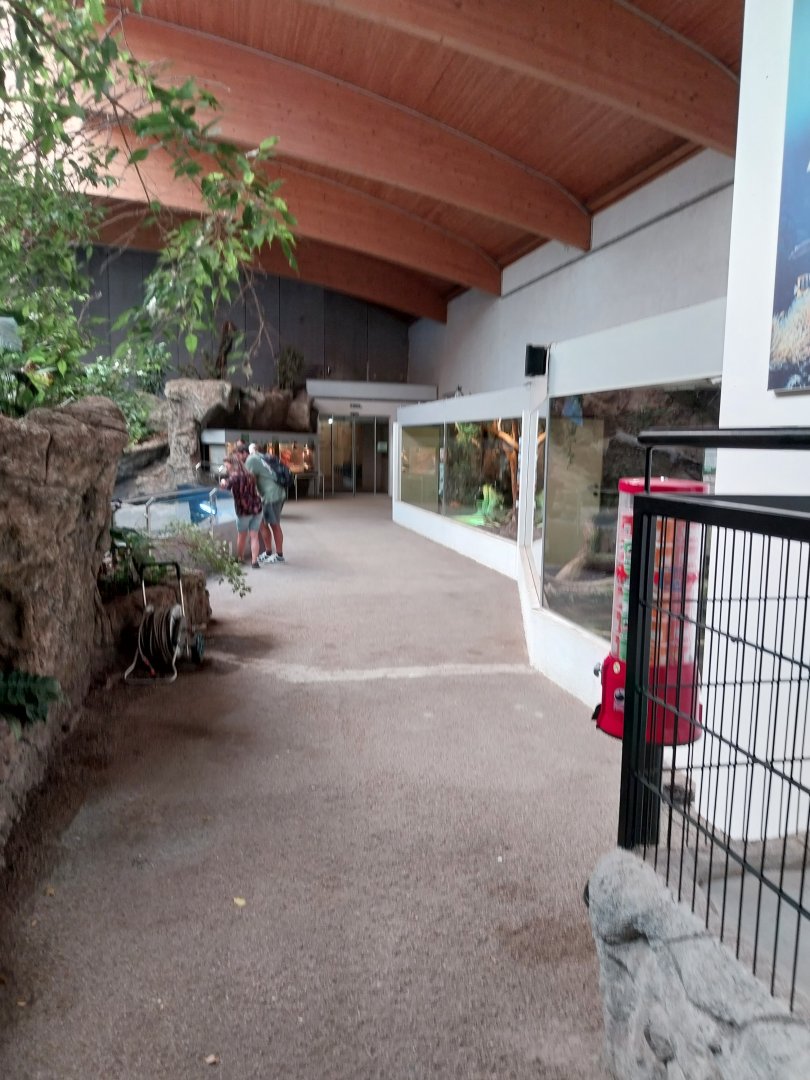 Aquazoo Schmiding - Reptile section