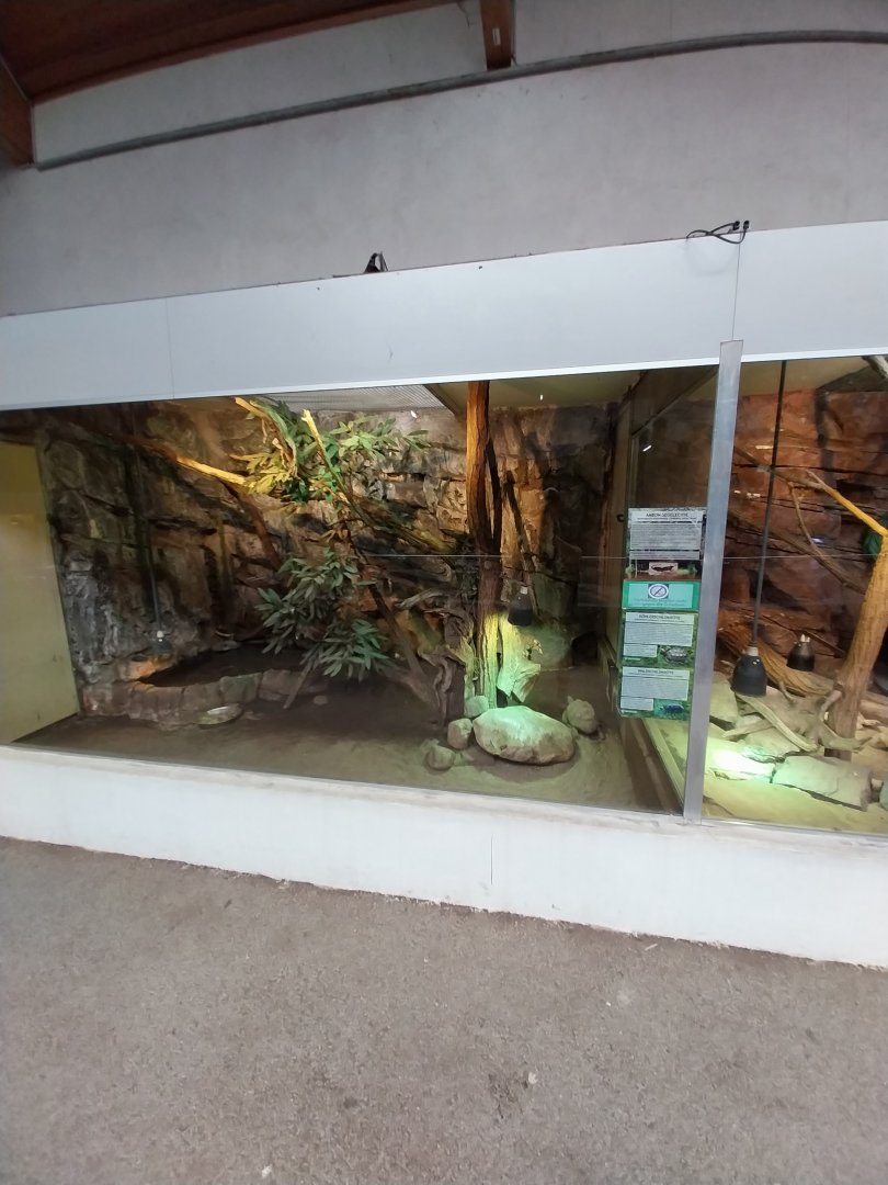 Aquazoo Schmiding - Reptile section