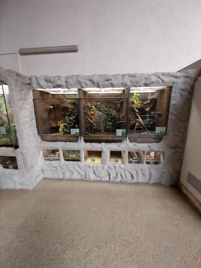 Aquazoo Schmiding - Reptile section