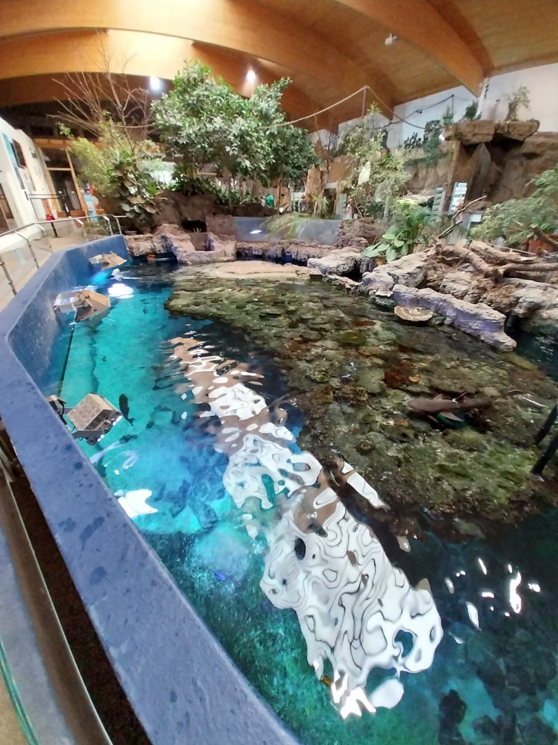 Aquazoo Schmiding - Sea turtle aquarium