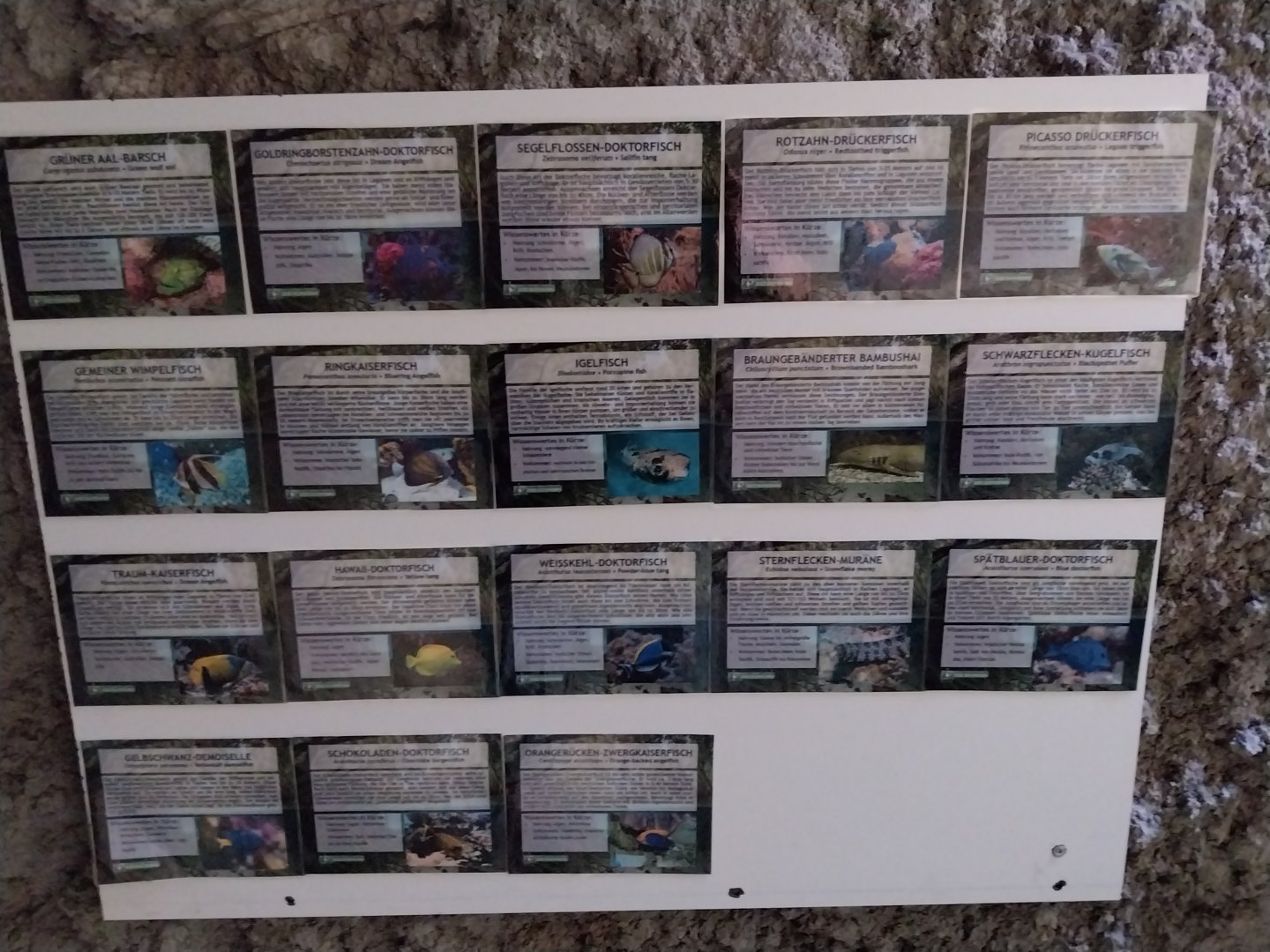 Aquazoo Schmiding - Smaller coral reef - Species sign