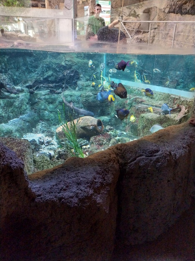 Aquazoo Schmiding - Smaller coral reef