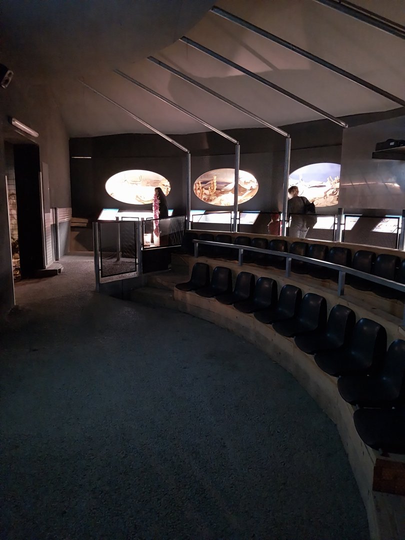 Aquazoo Schmiding - Start of primitive life