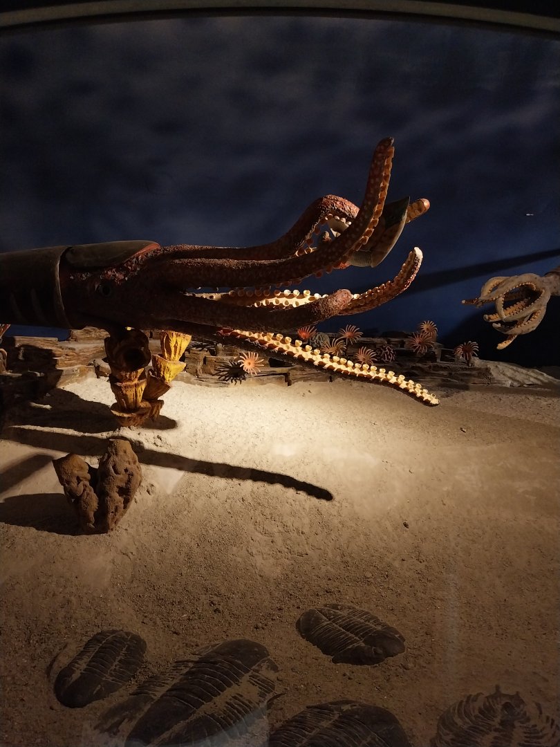 Aquazoo Schmiding - Start of primitive life