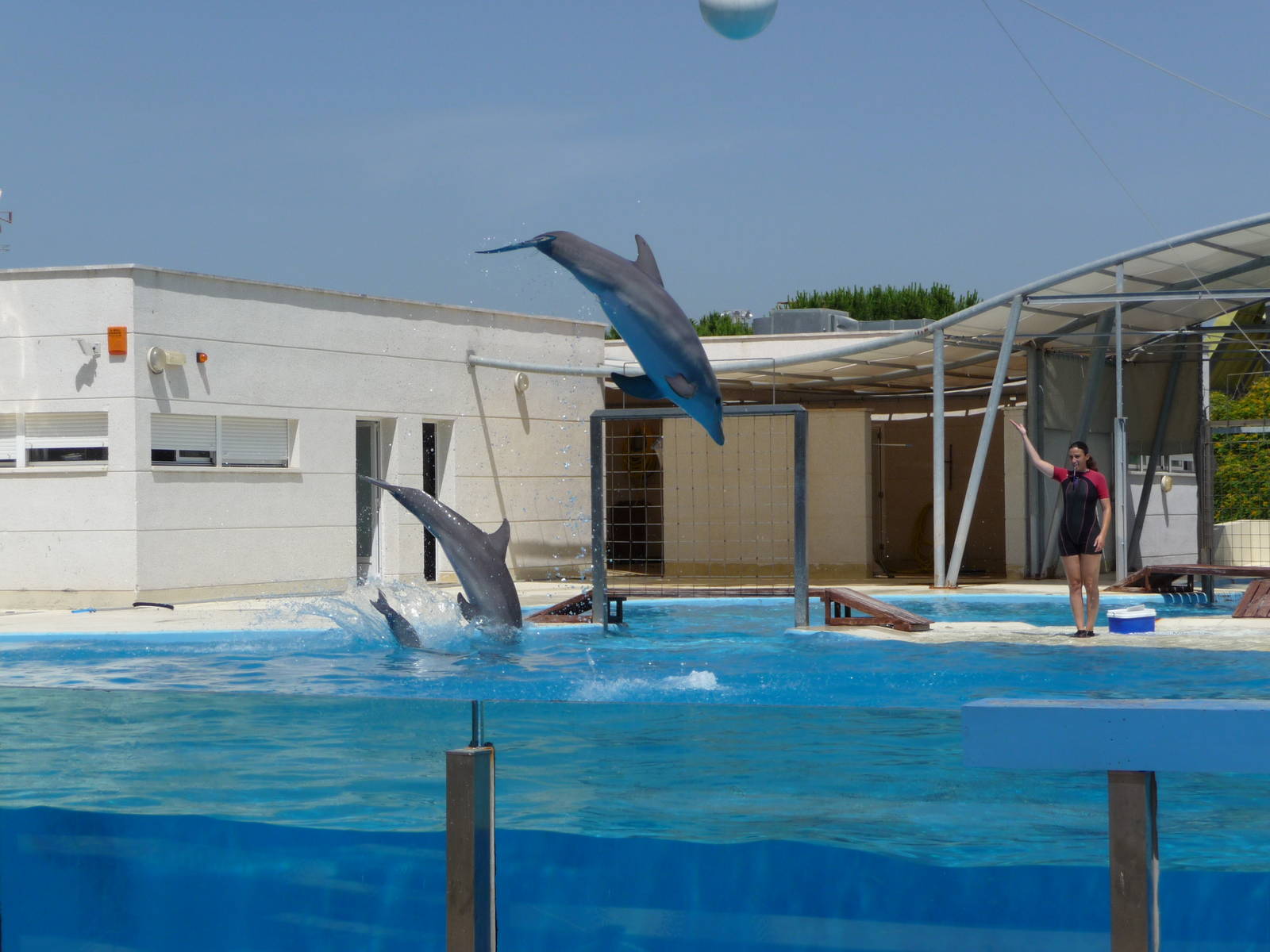 Aquopolis - La Pineda