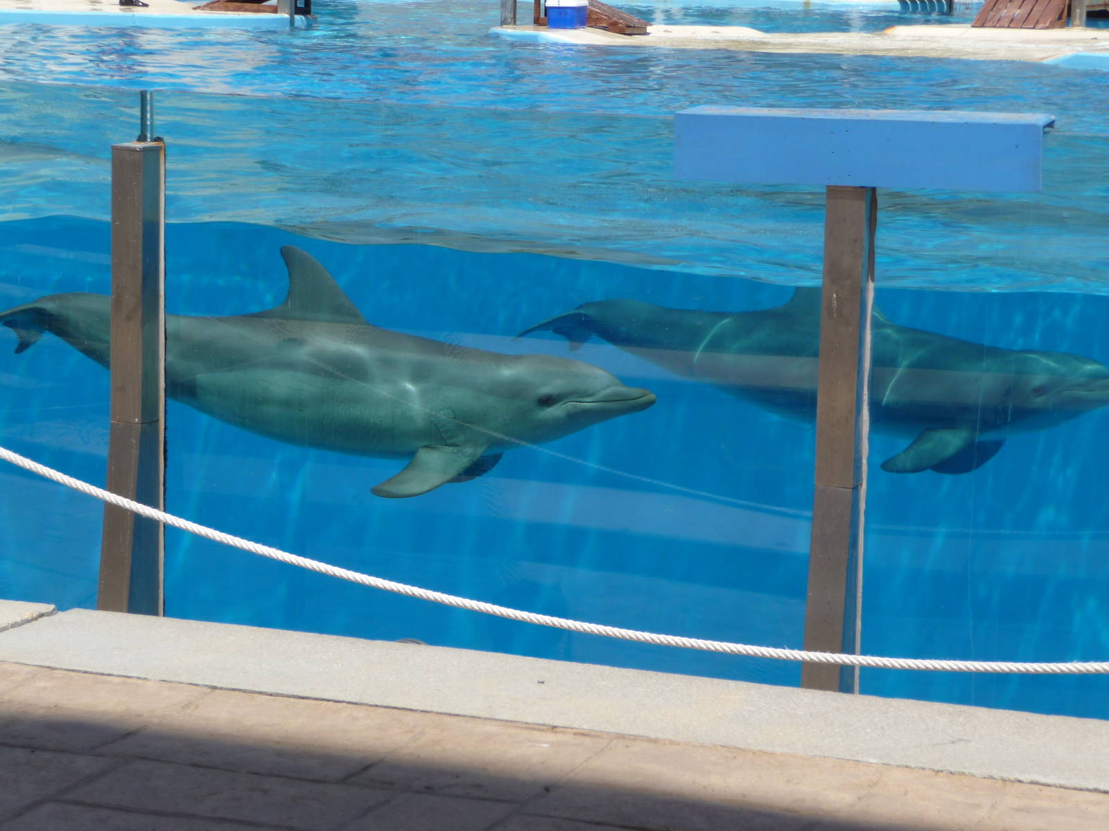 Aquopolis - La Pineda