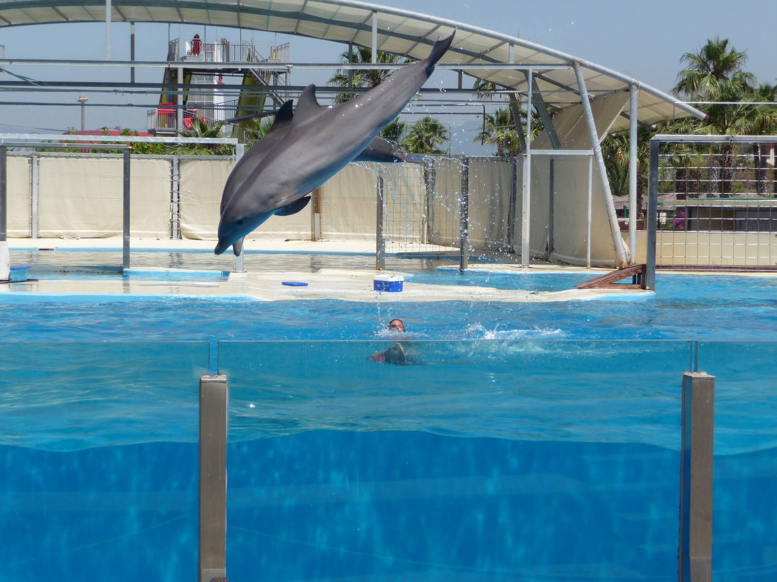 Aquopolis - La Pineda