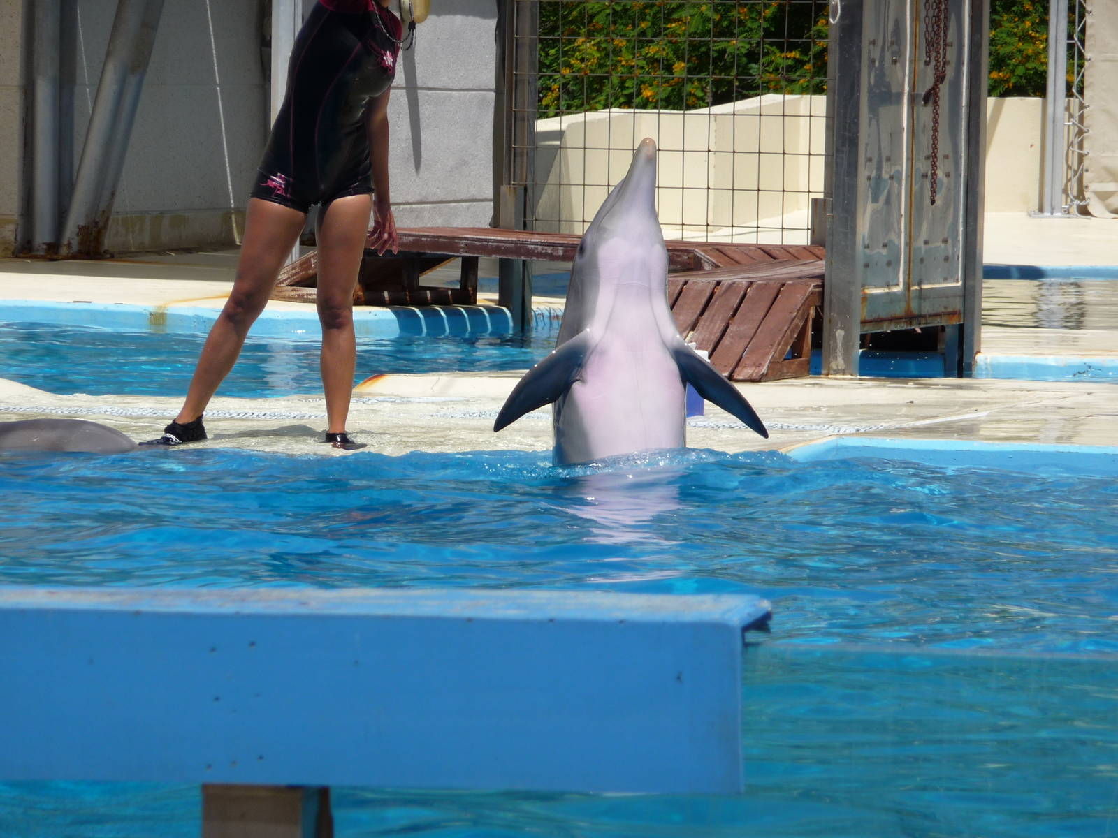 Aquopolis - La Pineda
