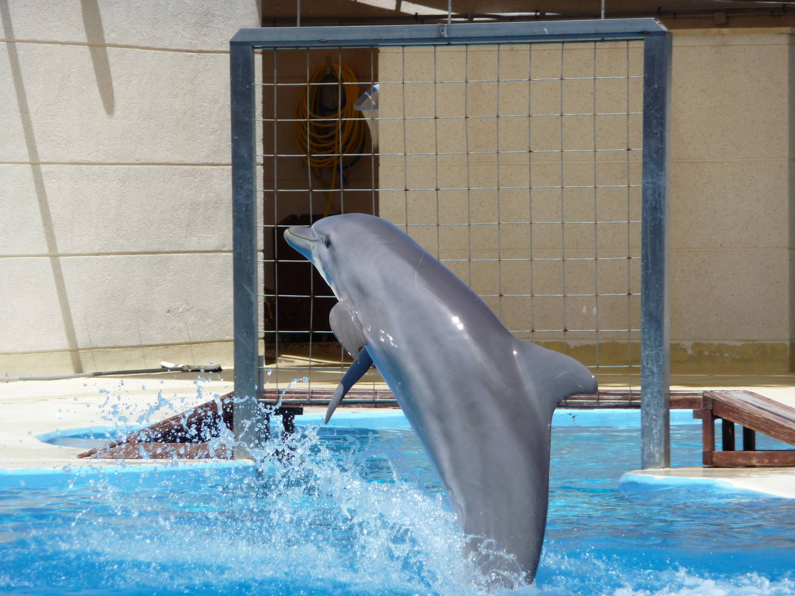 Aquopolis - La Pineda