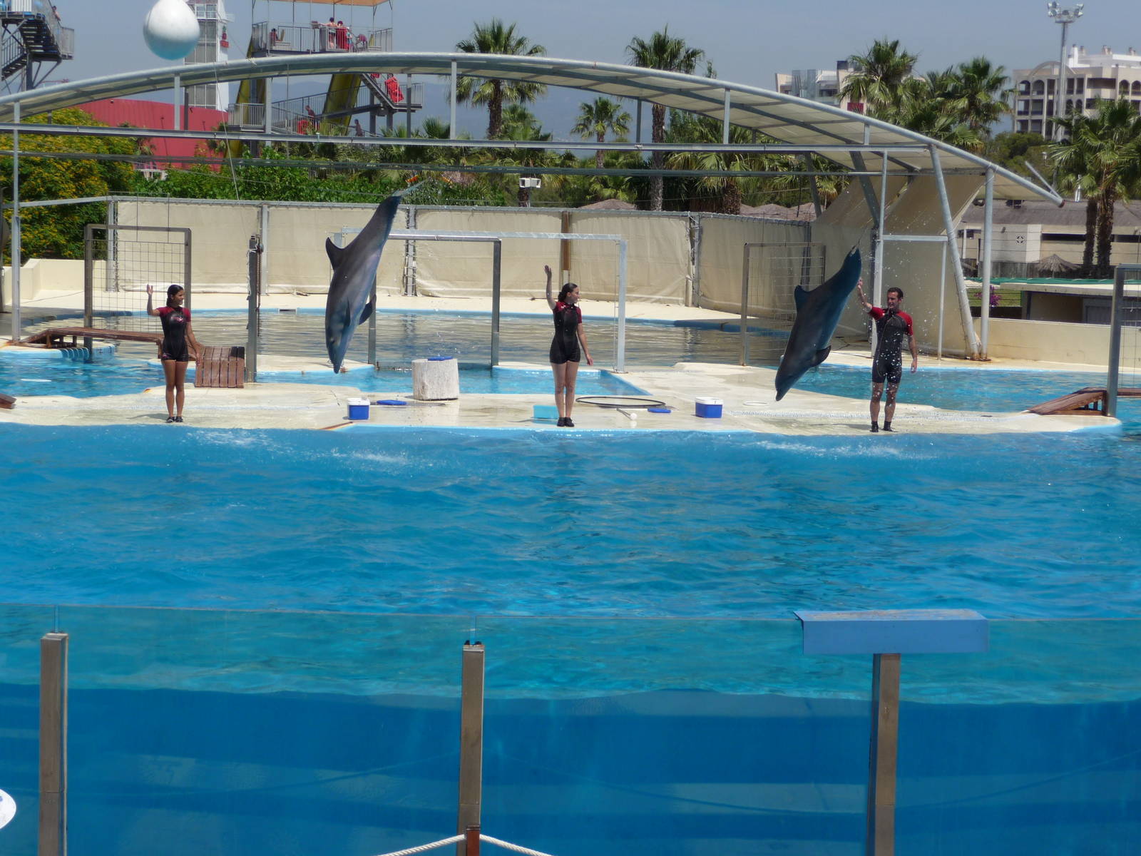 Aquopolis - La Pineda