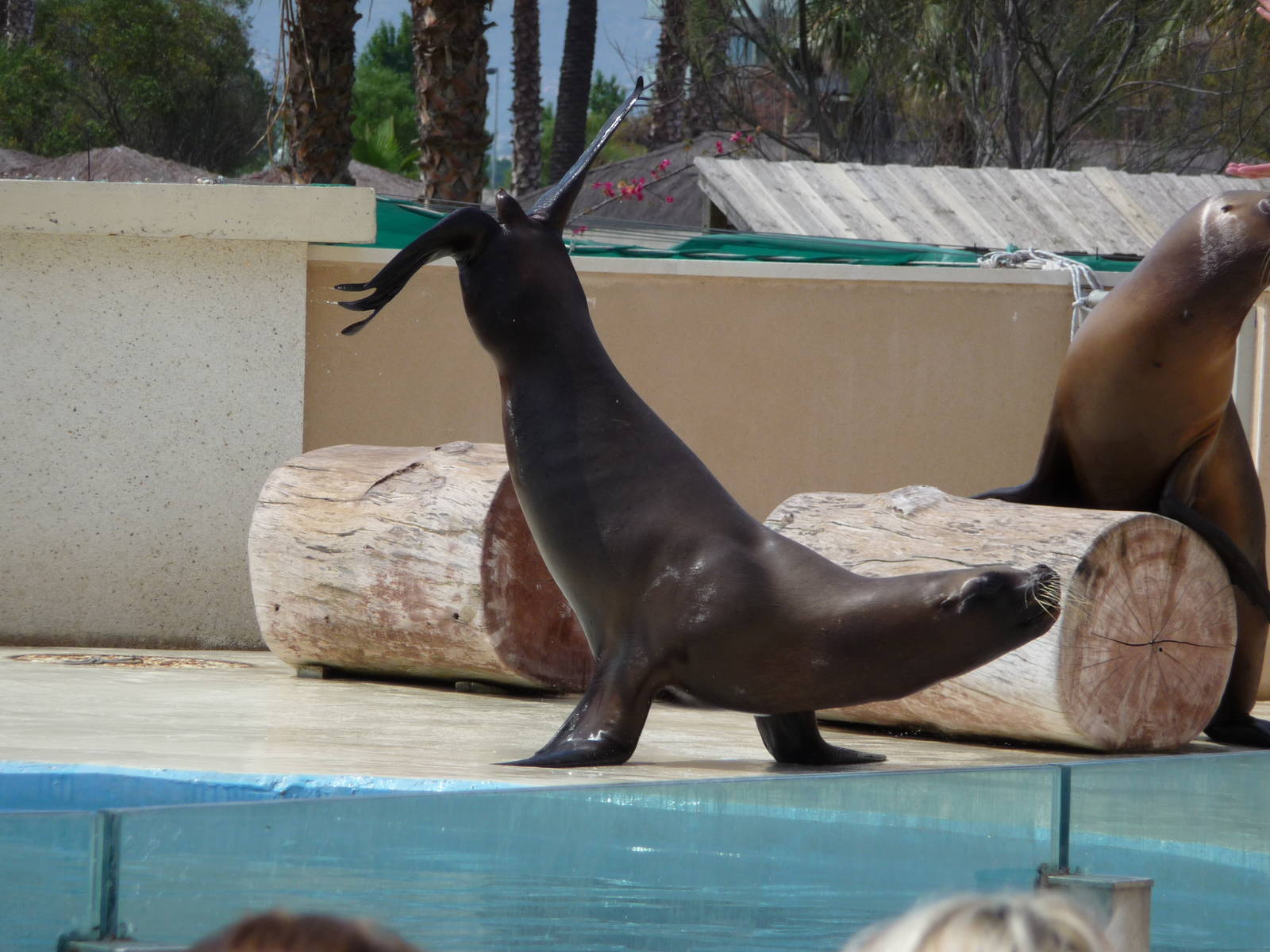 Aquopolis - La Pineda