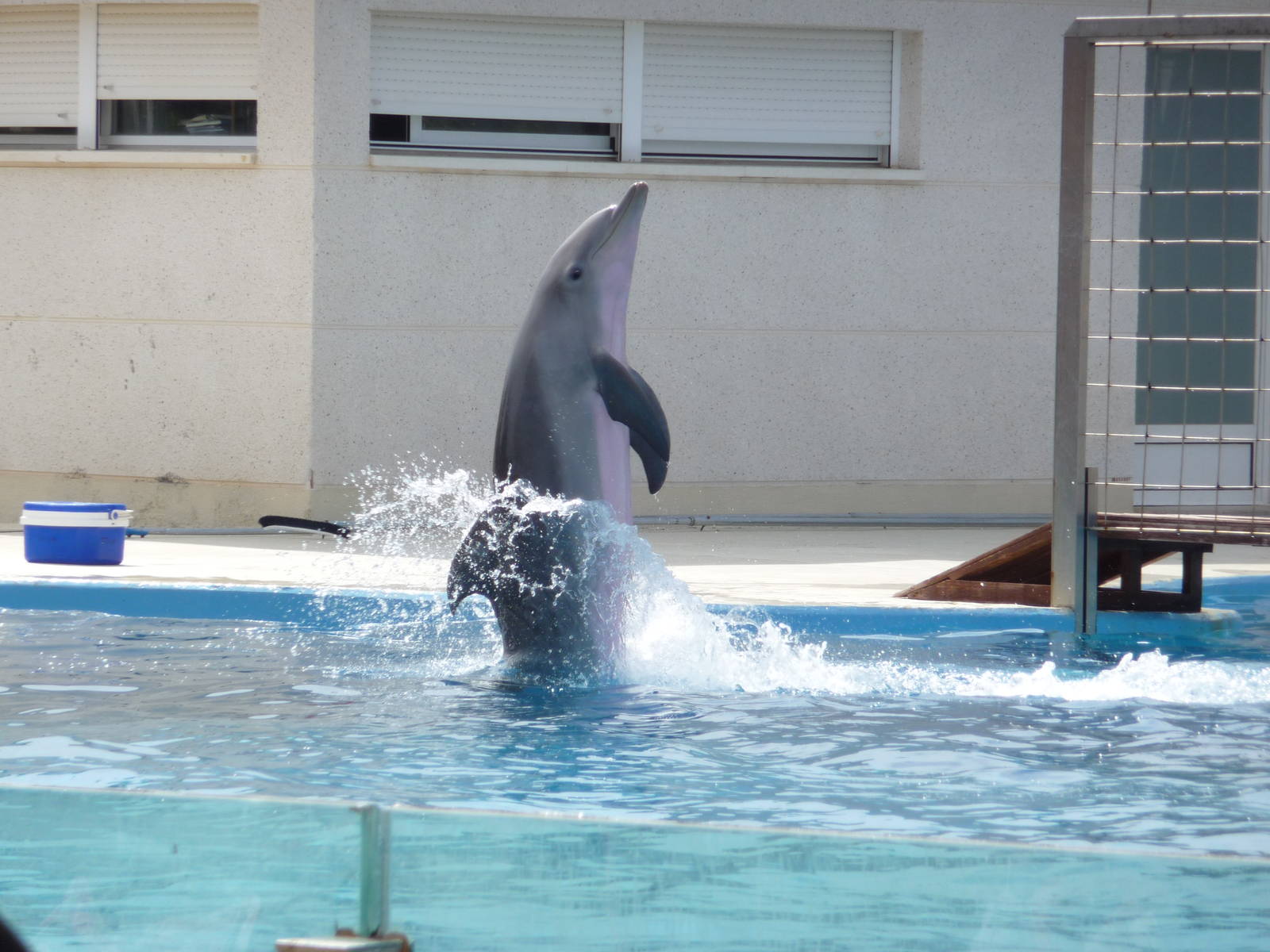 Aquopolis - La Pineda