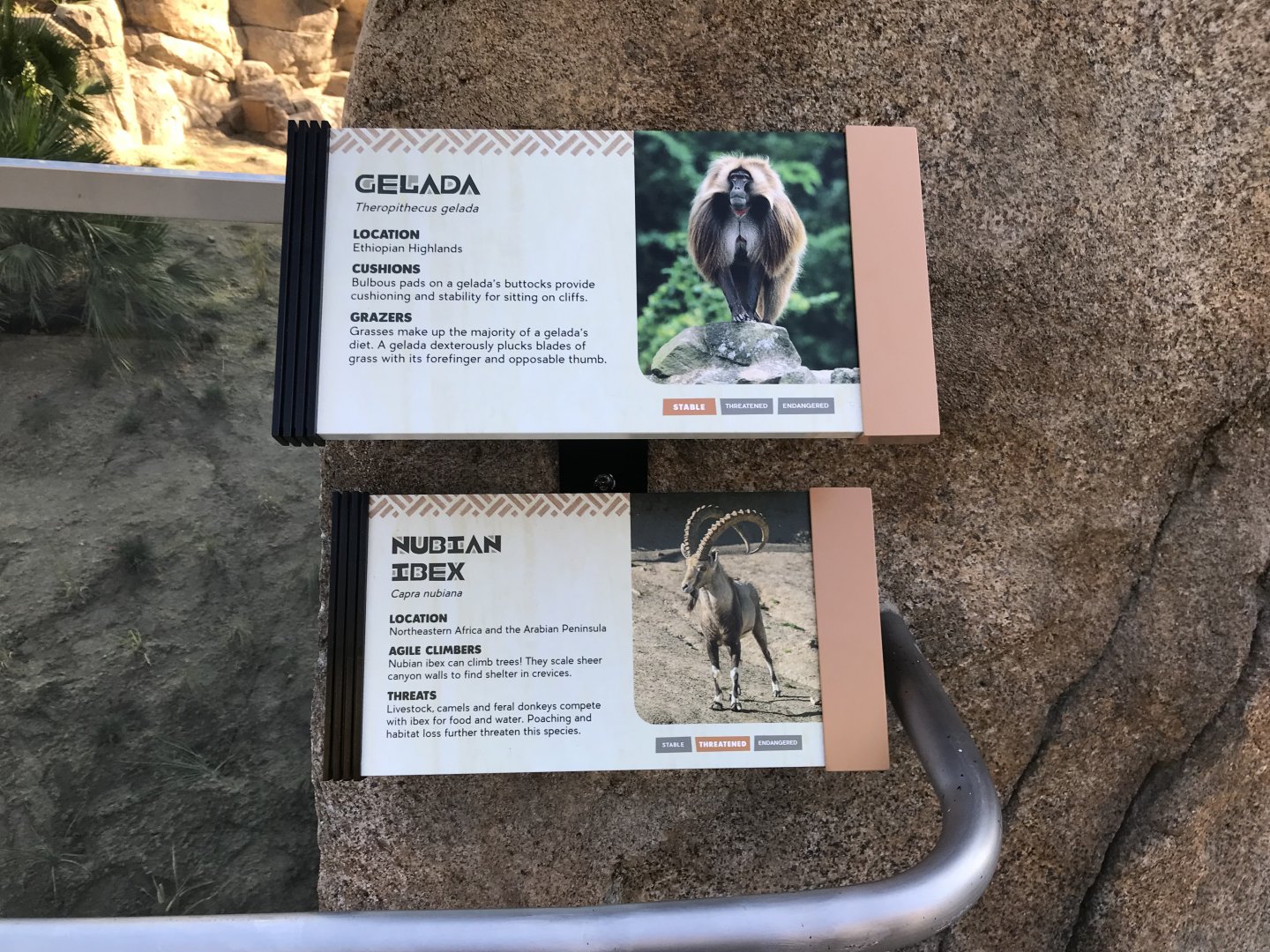 AR Gelada 1 Sign 1