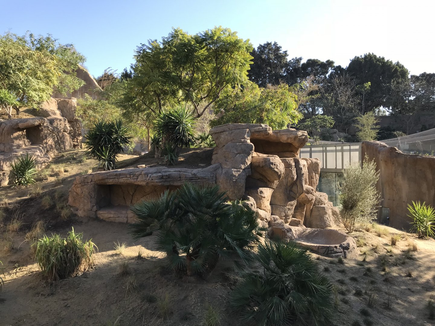 AR Gelada 1 Viewing Area 1 Center