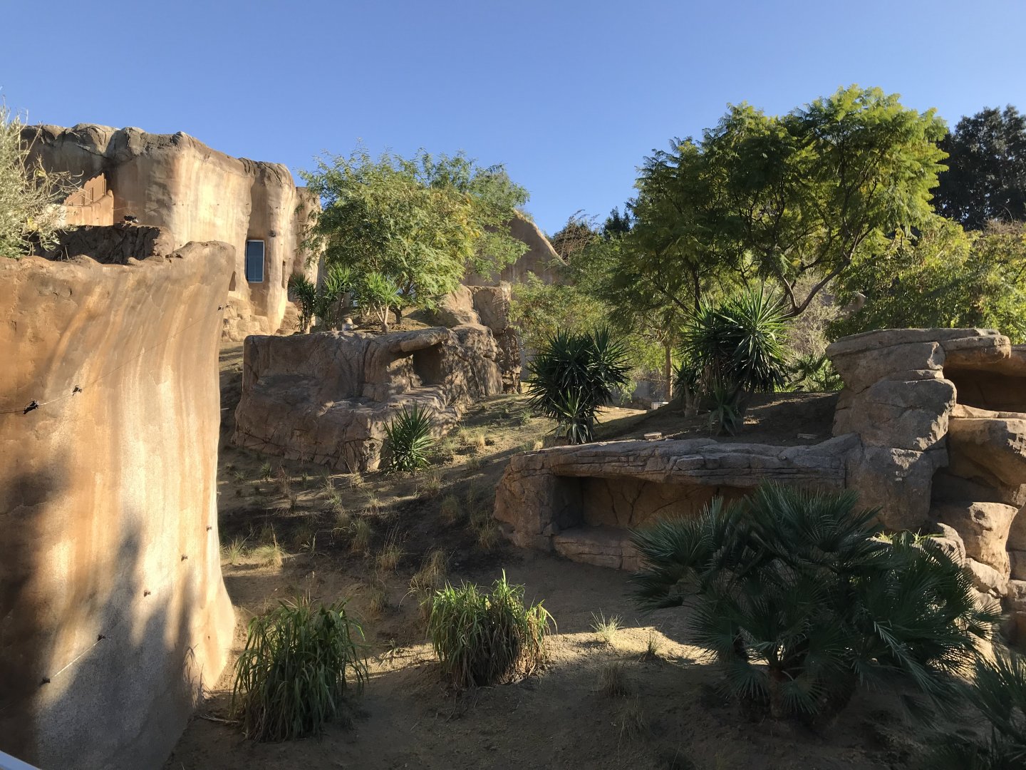 AR Gelada 1 Viewing Area 1 Left