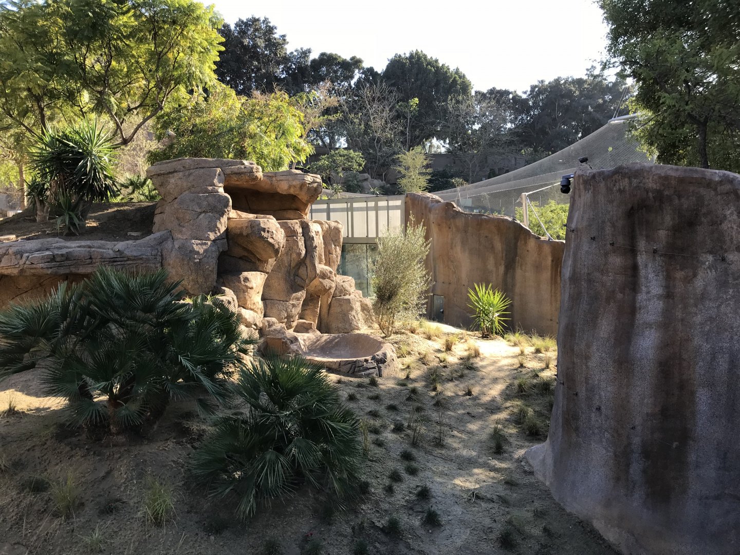 AR Gelada 1 Viewing Area 1 Right