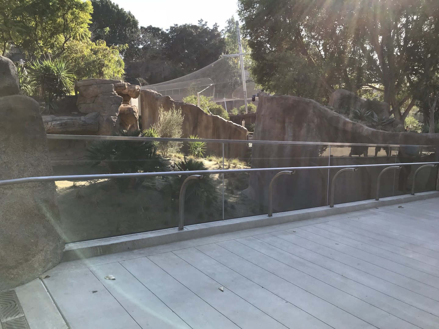 AR Gelada 1 Viewing Area 1