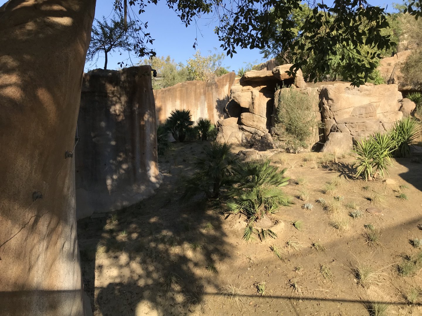 AR Gelada 1 Viewing Area 2 Left