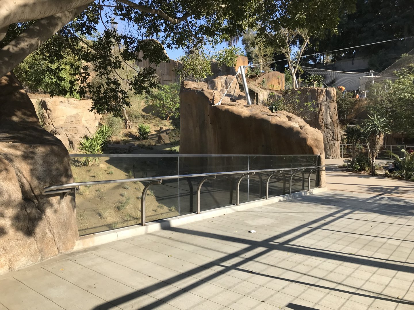 AR Gelada 1 Viewing Area 2