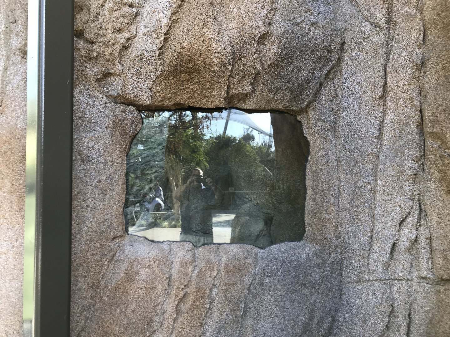 AR Gelada 1 Viewing Area 3 Right