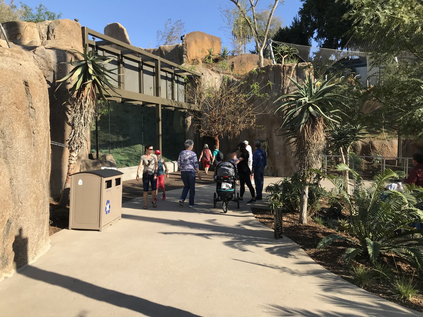 AR Gelada 1 Viewing Area 3