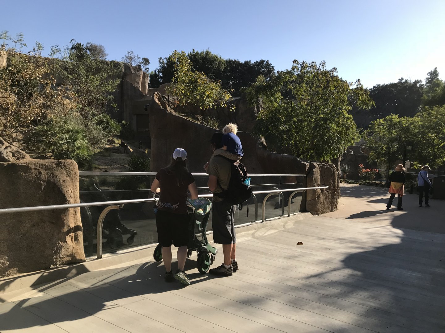 AR Gelada - H Baboon Shared Viewing Area 1