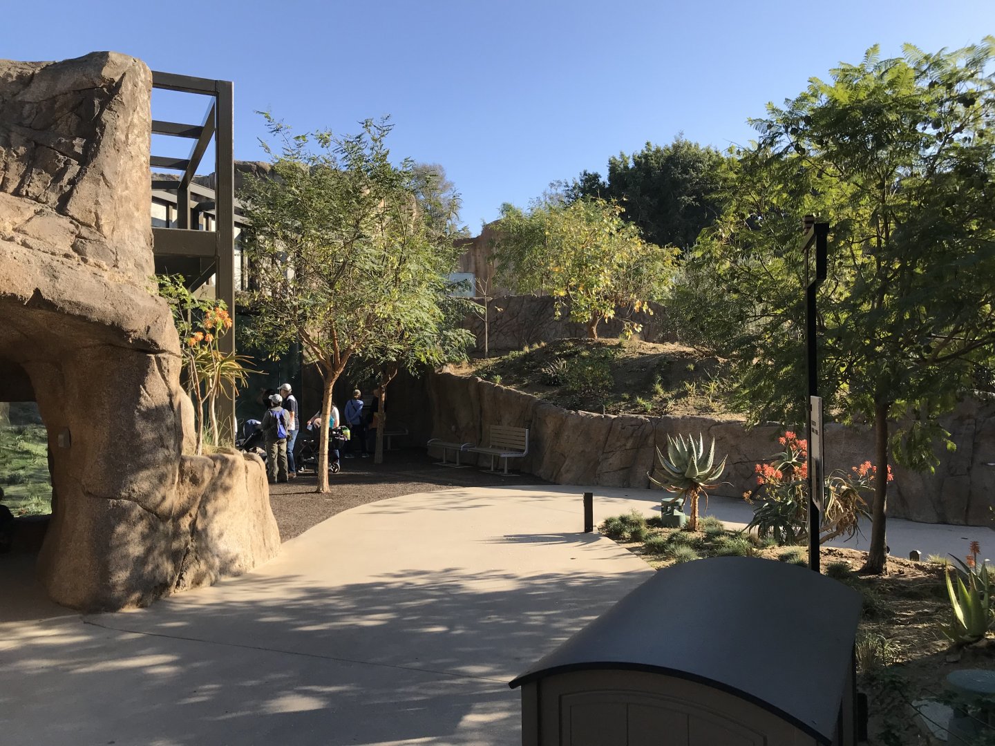 AR Gelada - H Baboon Shared Viewing Area 2 Path