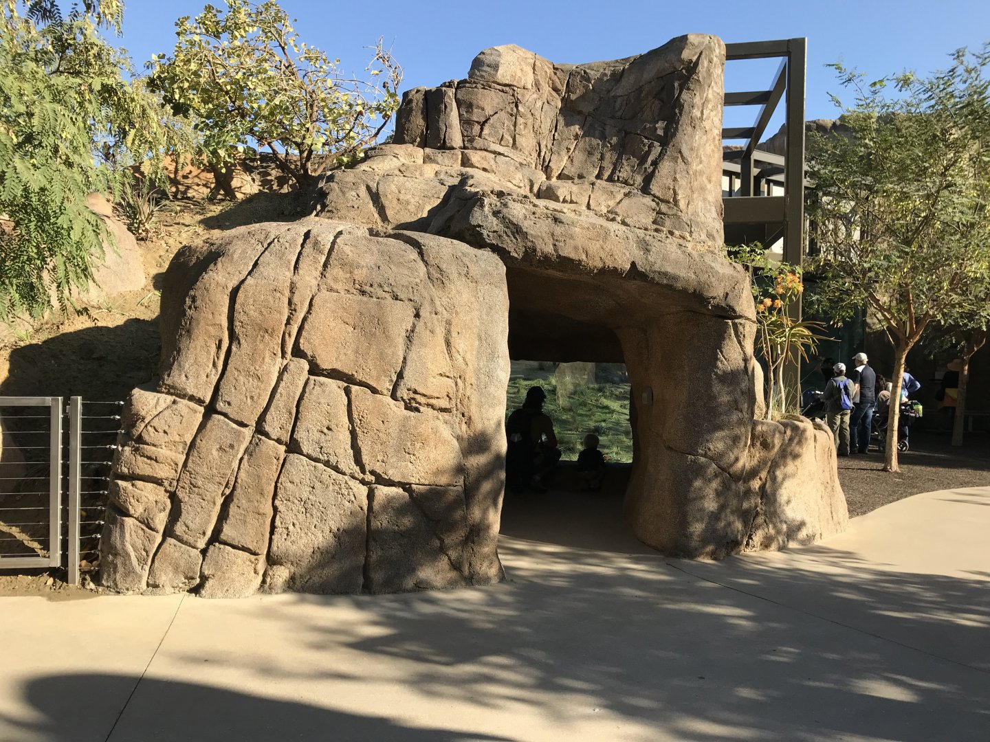 AR Gelada - H Baboon Shared Viewing Area 2