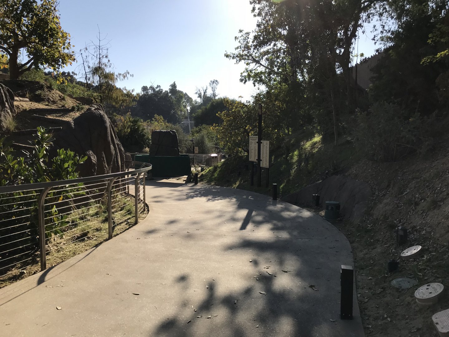 AR H Baboon 1 Path To Viewing Area 5