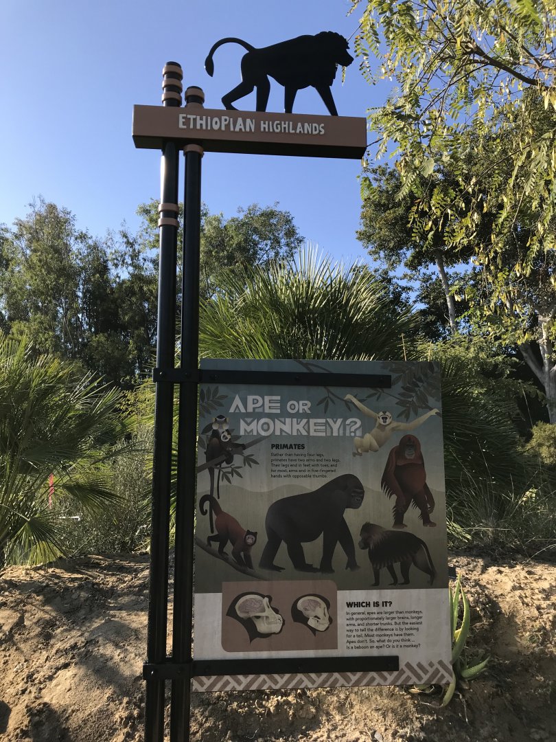 AR H Baboon 1 Sign 3