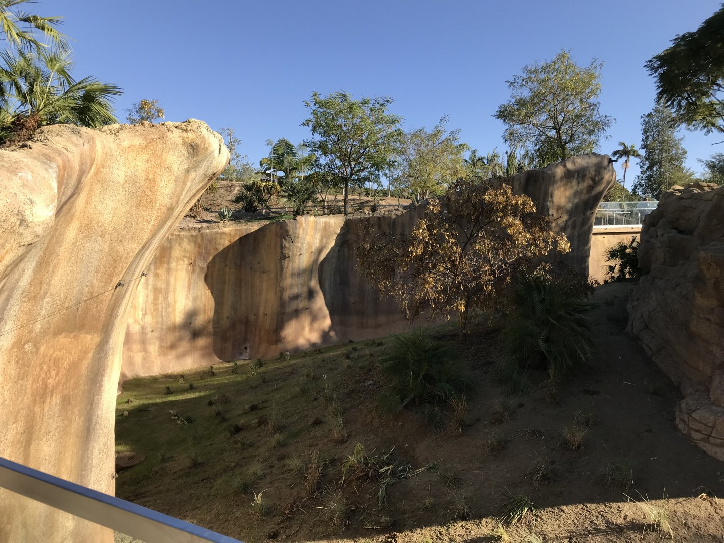 AR H Baboon 1 Viewing Area 4 Left