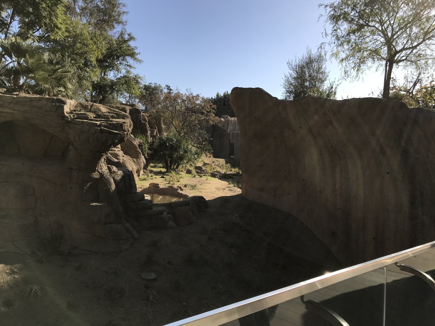 AR H Baboon 1 Viewing Area 4 Right