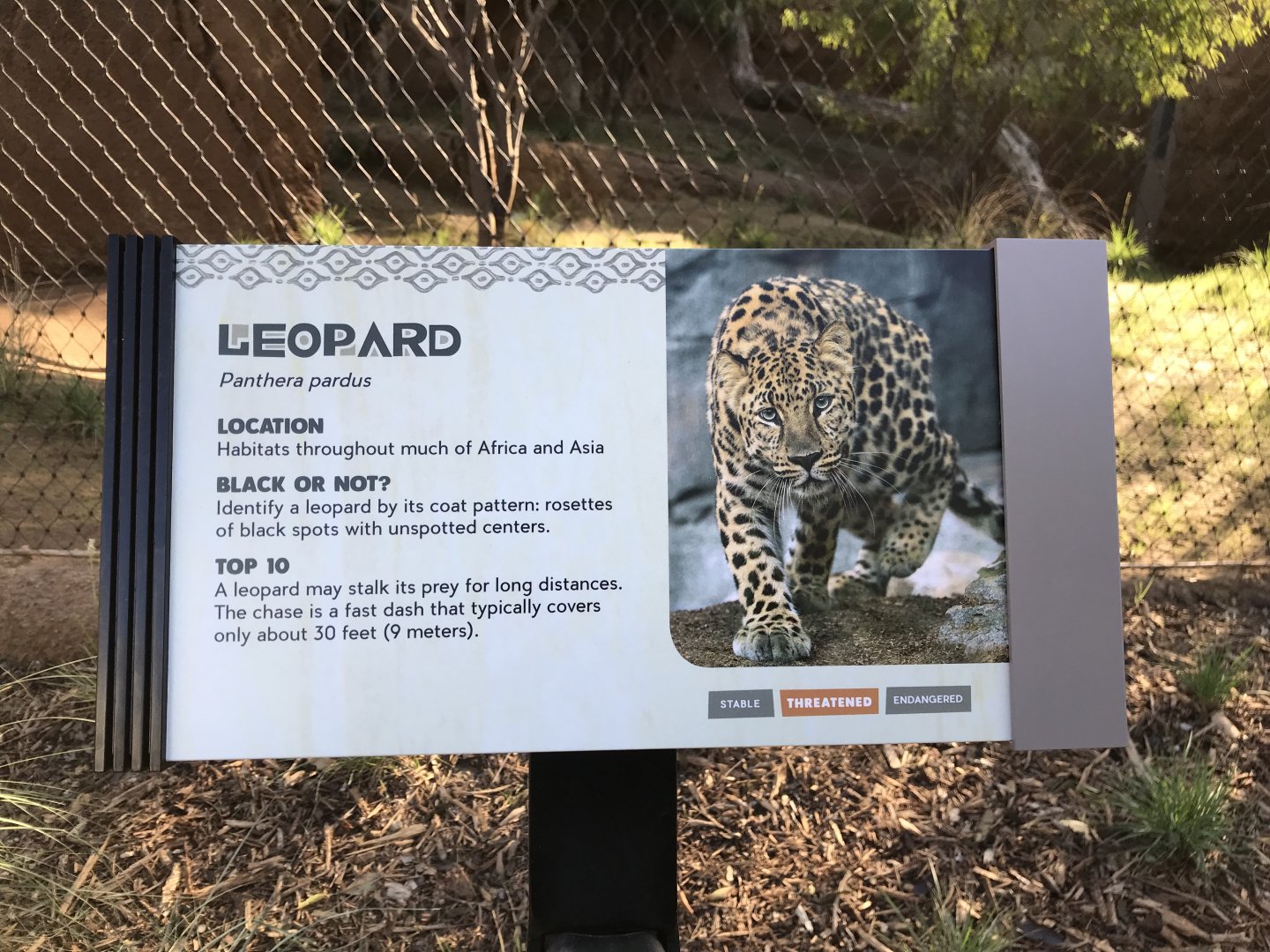 AR Leopard 1 Sign 1