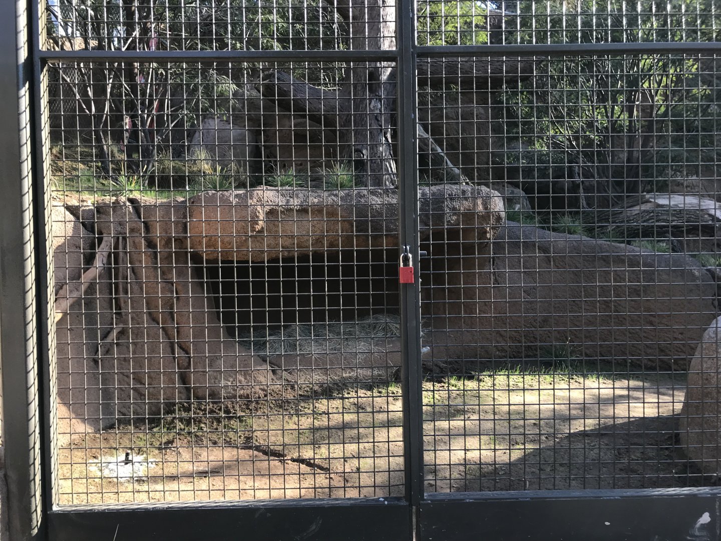 AR Leopard 1 Viewing Area 1 Far Left