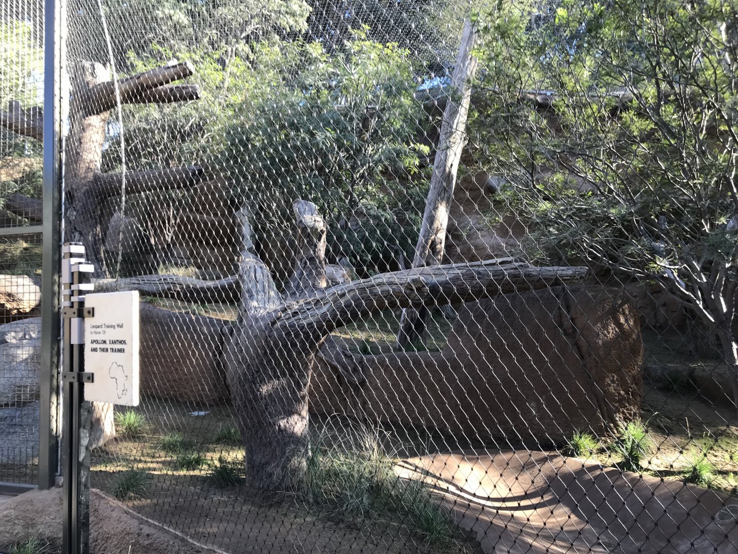 AR Leopard 1 Viewing Area 1 Left