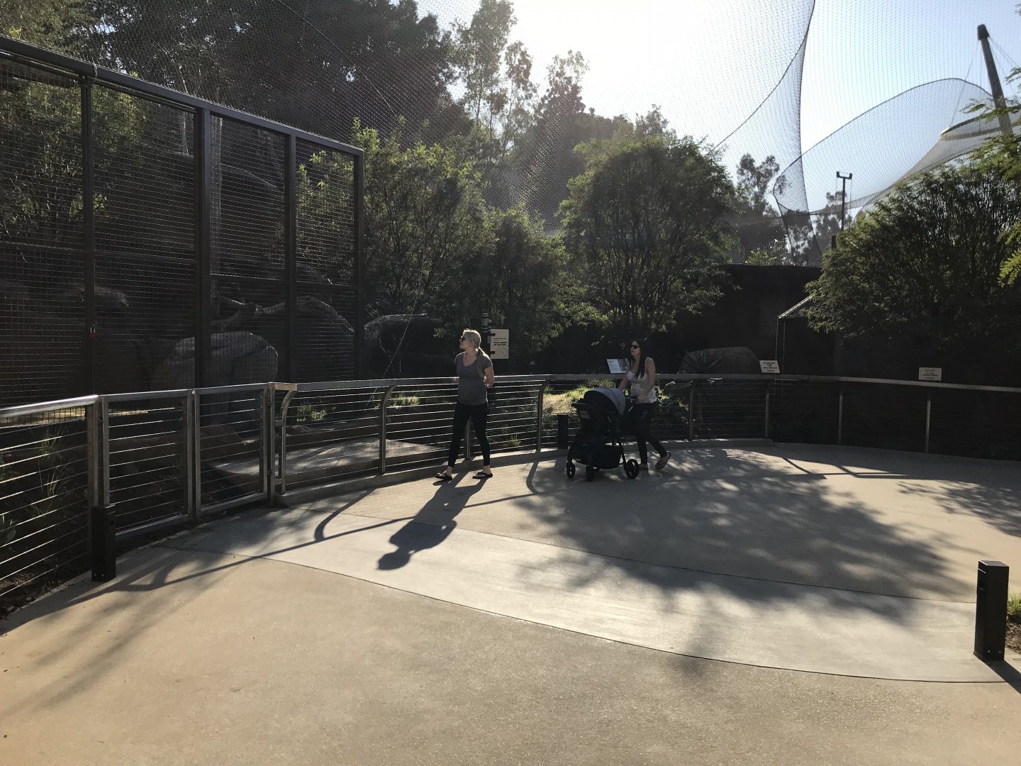 AR Leopard 1 Viewing Area 1