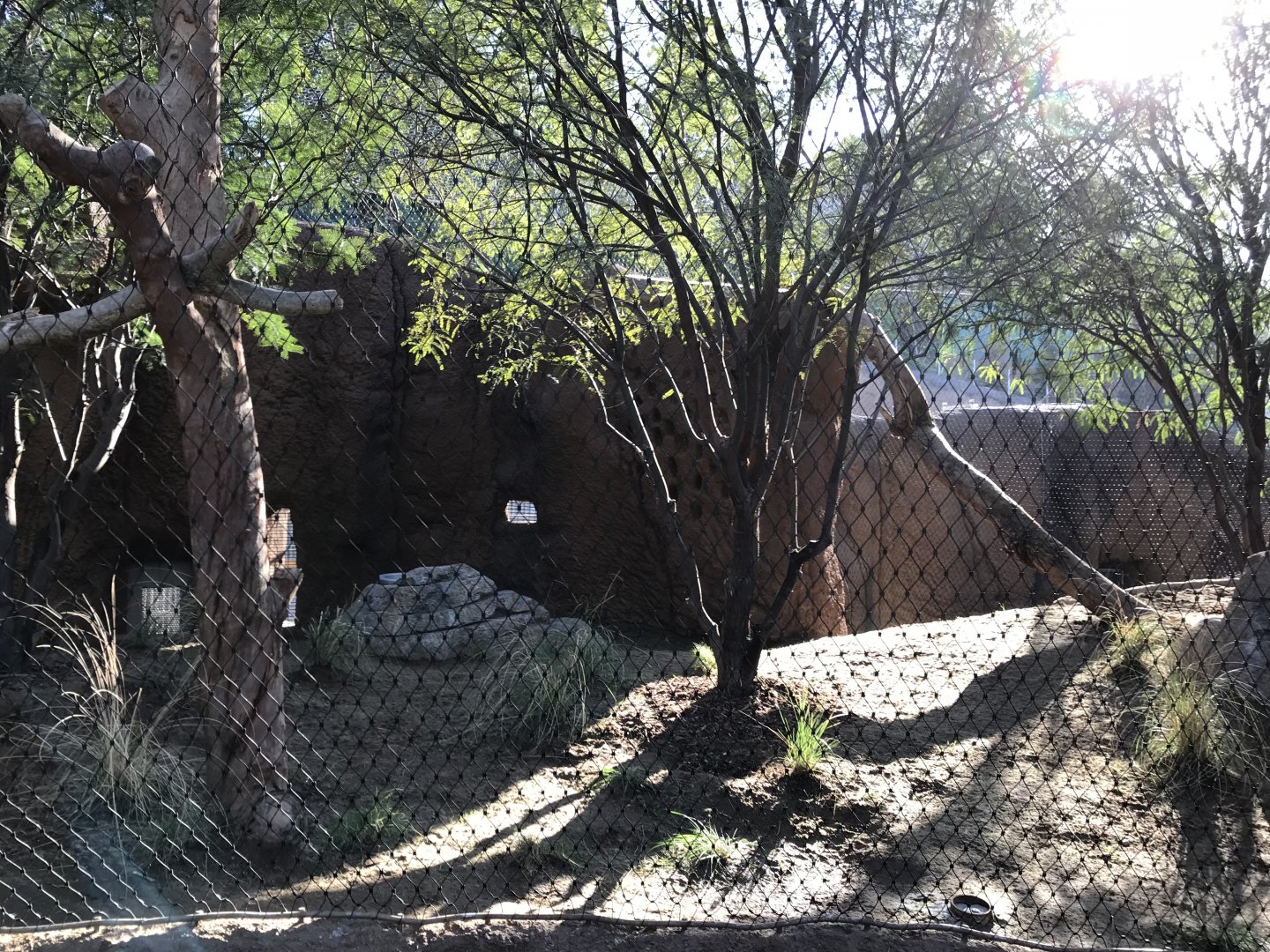 AR Leopard 2 Viewing Area 1 Center