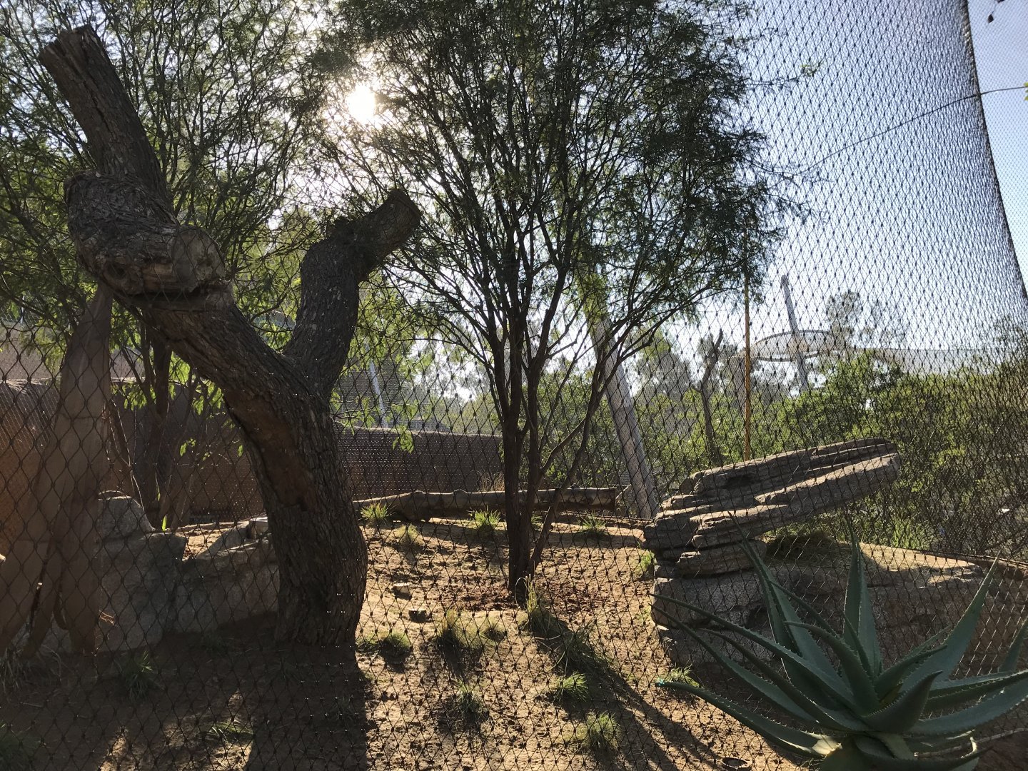 AR Leopard 2 Viewing Area 1 Far Right