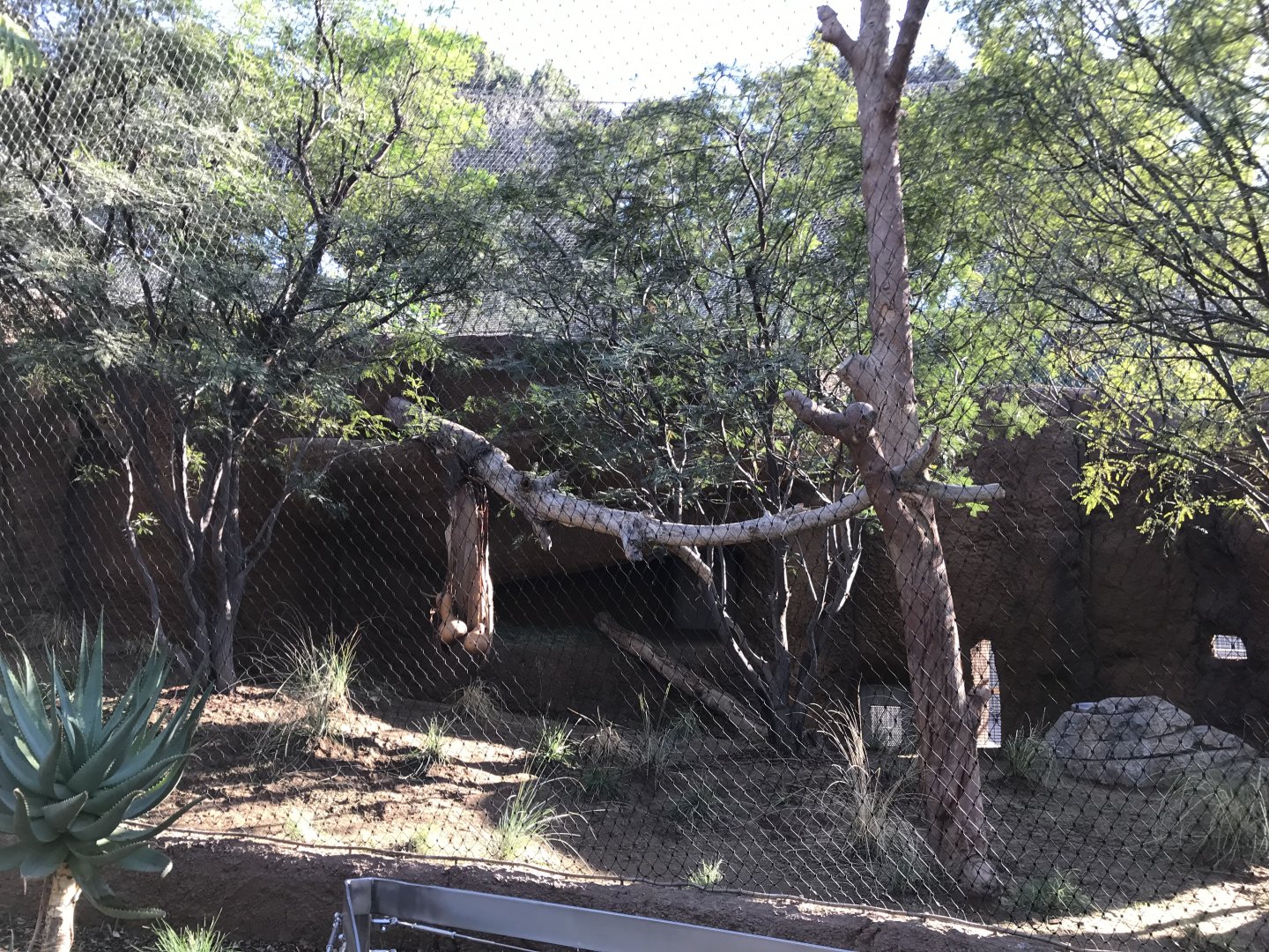 AR Leopard 2 Viewing Area 1 Left