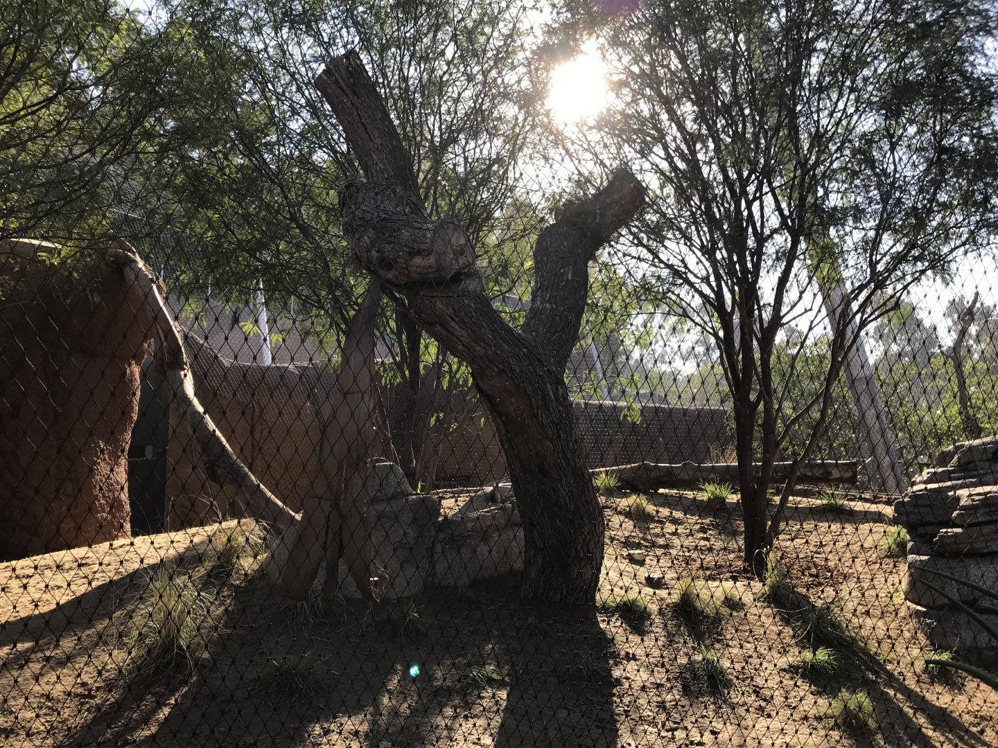 AR Leopard 2 Viewing Area 1 Right