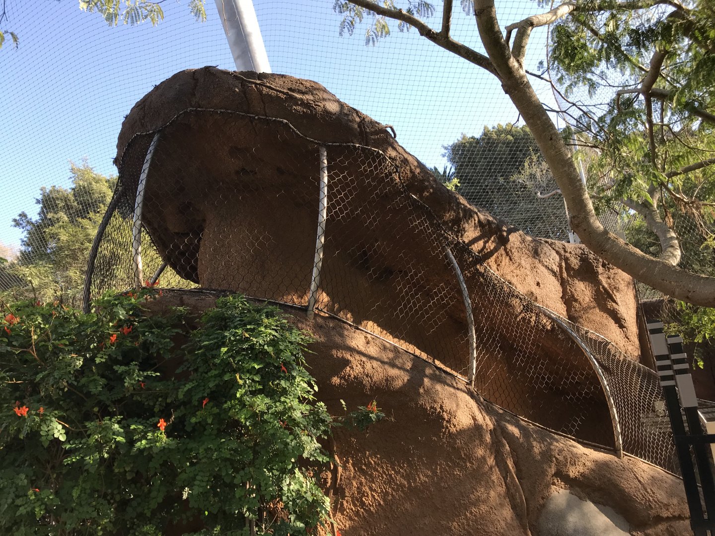 AR Leopard Transfer 1 And 2