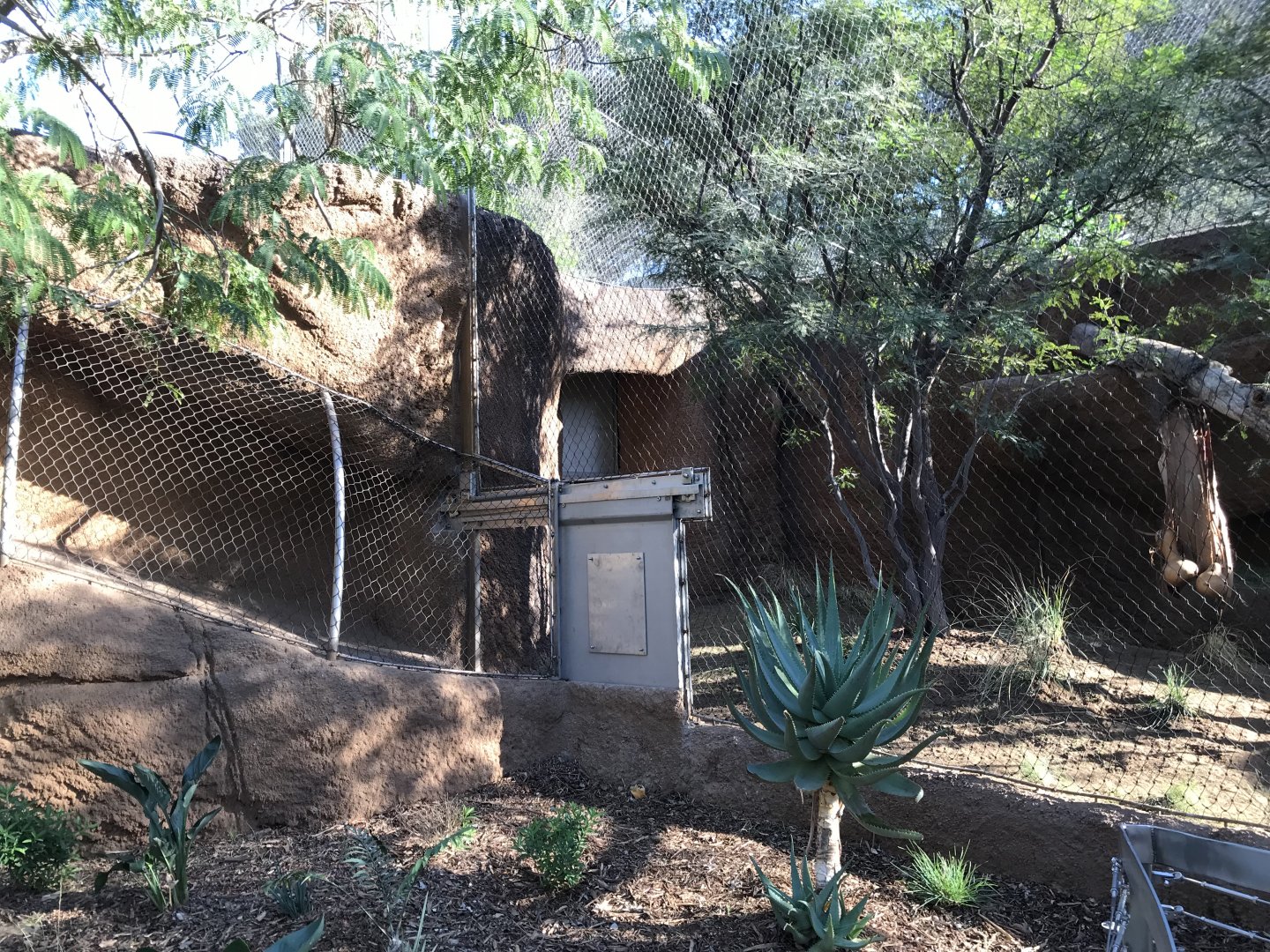 AR Leopard Transfer 2 Entrance