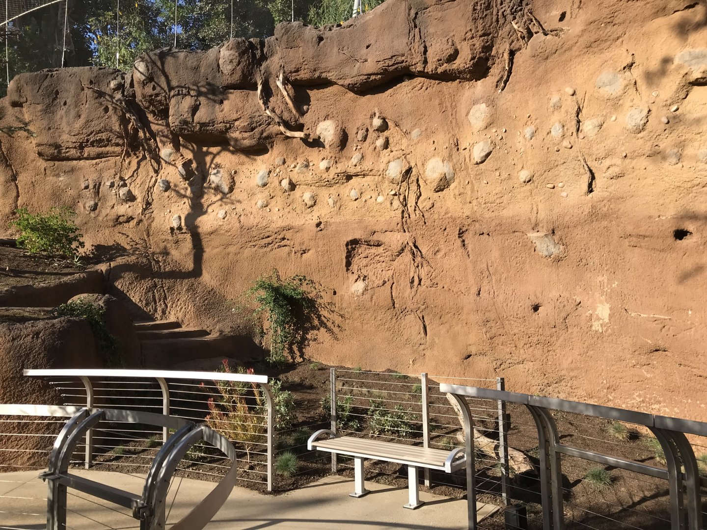 AR Lower Aviary Center - Right