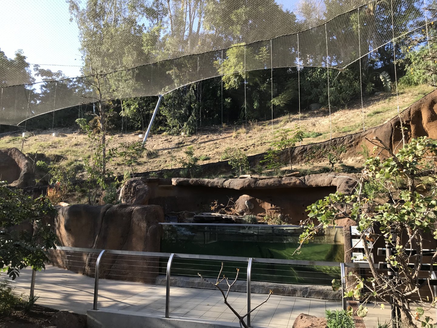 AR Lower Aviary Center