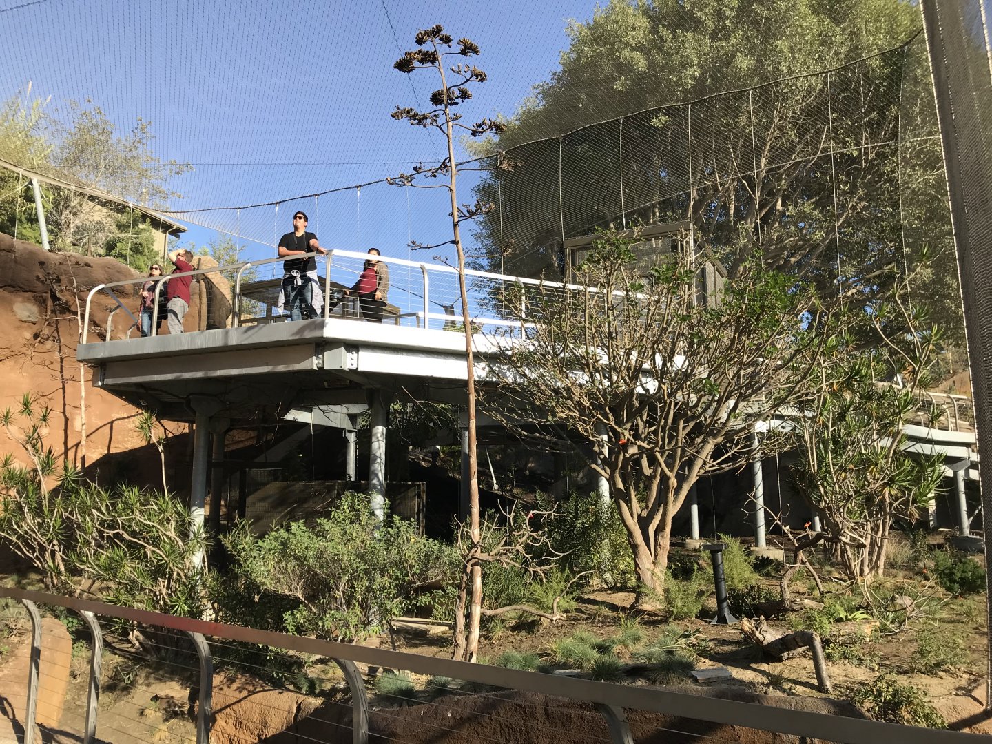 AR Lower Aviary Far Right