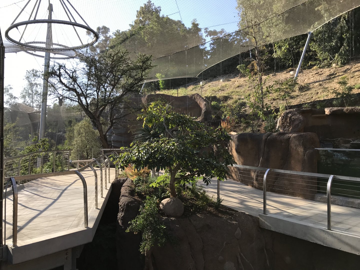 AR Lower Aviary Left