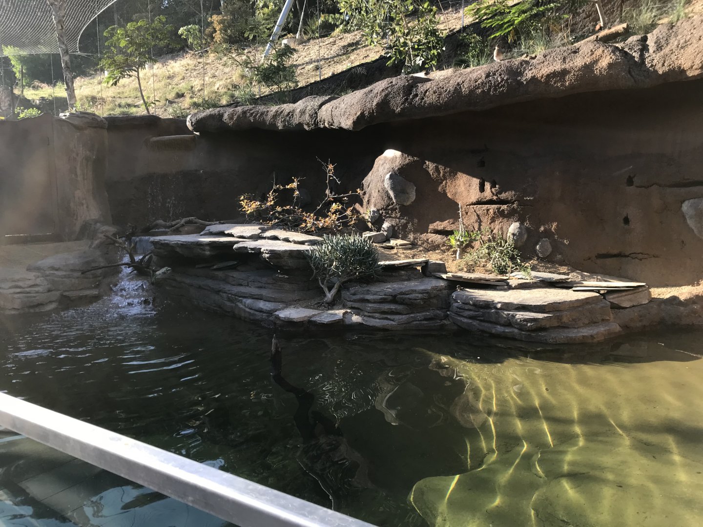 AR Lower Aviary Pond