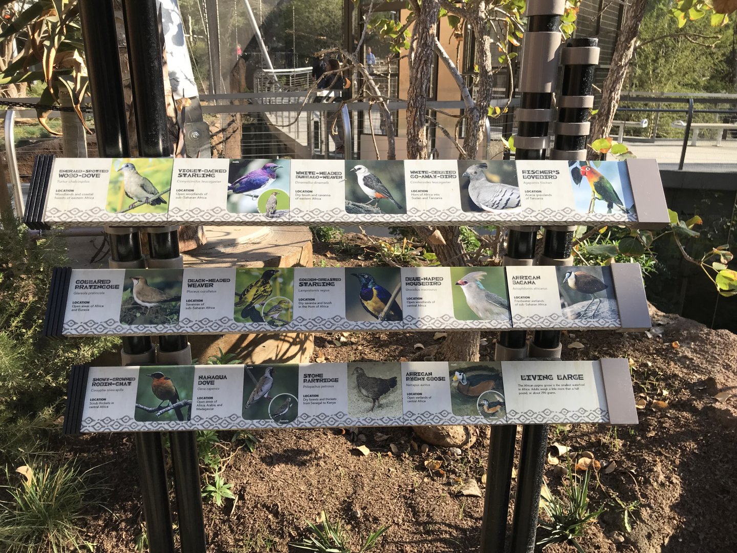 AR Lower Aviary SIgn 2