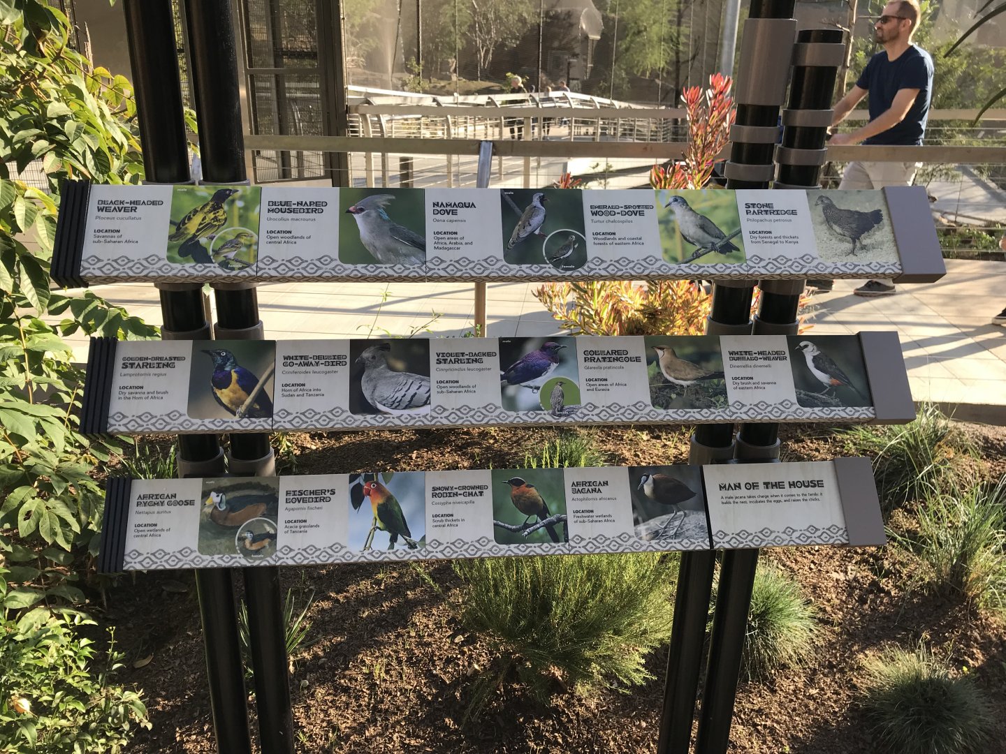 AR Lower Aviary SIgn 4